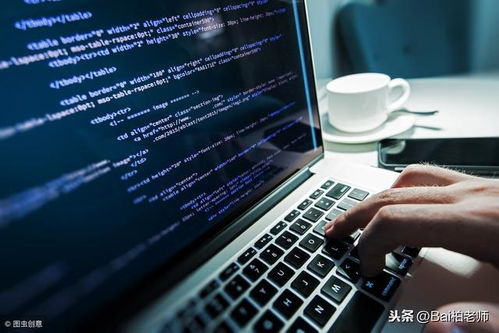 計算機(jī)技術(shù)與軟件專業(yè)技術(shù)資格水平考試中的軟件技術(shù)服務(wù)