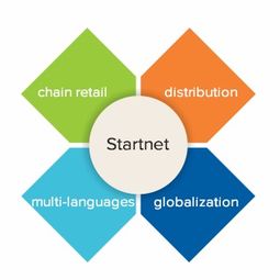 廣州市啟網(wǎng)軟件 專業(yè)軟件技術(shù)服務(wù)，賦能企業(yè)數(shù)字化轉(zhuǎn)型